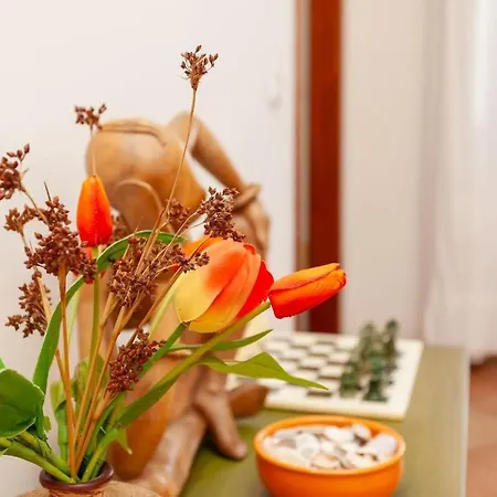 Апартаменты Perla Marina Сан-Теодоро